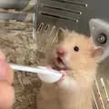 Một chút đồ xinh 🐹-hamsterbeooo