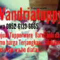 Vandria Tuppy-vandria_tuppy