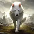 Lobo branco-lobobranco090