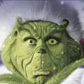 The Grinch-thegrinch_tiktoks