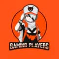 Gaming Players-gamingplayers_07