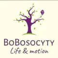 BoBosocyty-bobosocyty