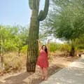 🌵 Katie’s AZ Kitchen 🌵-katiesazkitchen