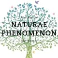 Явления природы-naturaephenomenon