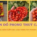 PHONG THỦY MINH NHẬT-minhnhat.phongthuy