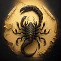 ScorpionSquad-scorpions_squad
