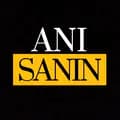 ANI SANIN-ani.sanin