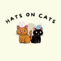 Hats on Cats-hatsoncats