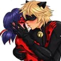 Miraculous lover 🐞🐈‍⬛-lady_noir_plagg