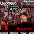 UNICO_MAESTRO_MAYOR_UNICORNIO-brujo.mayor.oficial3