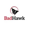 Hawk-shdowhawks