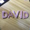 David-crystalcollector_david