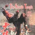 Shaolin Kung Fu cinese-luxueming