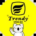 Trendy Spring Bed-trendyspringbed