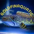 GoldFinDaily-andhika_goldfin