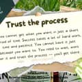Trust D Process-bbgg2024