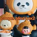 Cooper blind box2-cooper.blind.box2