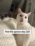 Goose-sillygoose647