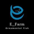petani ikan hias-endang_farm