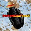 pritonghatdogs-pritonghatdogs