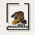 mota.snakehead-mota.snakehead