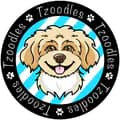 Tzoodles-tzoodles