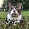 Cat Sanctuary@Are We Home Yet?-arewehomeyet