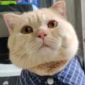 มาเวลแมวอ้วน 😻-marvel_catt