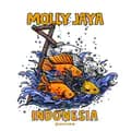 CV. Molly Jaya Indonesia-mollyjaya.id