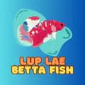ลับแลปลากัดluplaebettafish-luplaebettafish8888