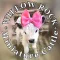 Willow Rock Cattle-willowrockcattle