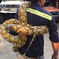Snake king 👑👑👑-snakekingbhai