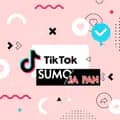 SUMO JA PAN-sumo_japan