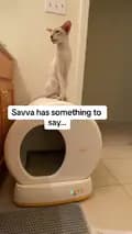 Jamie & Savva-savva_theorientalcat
