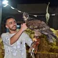 عشاق الحيوانات والطيور-adham_salah25