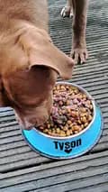 Tyson-bulldoglifeuk