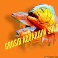 GROSIR AQUARIUM SOLO-grosiraquariumsolo