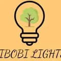 TiBoBi Lights.hcm-vuongdung1012