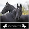 Black horses Ltd-thefriesianexperience