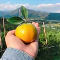 ไร่ส้มไท่จง-taizongfarm