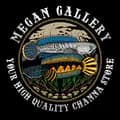 Megan Gallery-megan_gallery