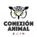 Conexión Animal-conexionanimalmx