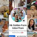 Hk Golden Farm Udonthani-hkgoldenfarm