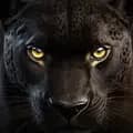 Black Panther-blackpantherz33