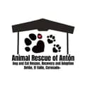 aniimalrescueofanton-animalrescueofanton