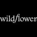 Wildflower Cases-wildflowercases