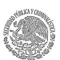 💂‍♂️SERVIR A MÉXICO👮‍♂️🇲🇽-agenteperez01