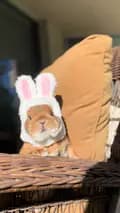 Bunnydayoff-bunnydayoff