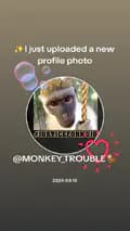 MONKEY_TROUBLE🐒-monkey_trouble_