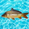 Fishing-thecommoncarp